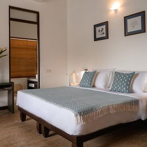 Palm Suite